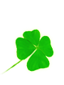 ����/����